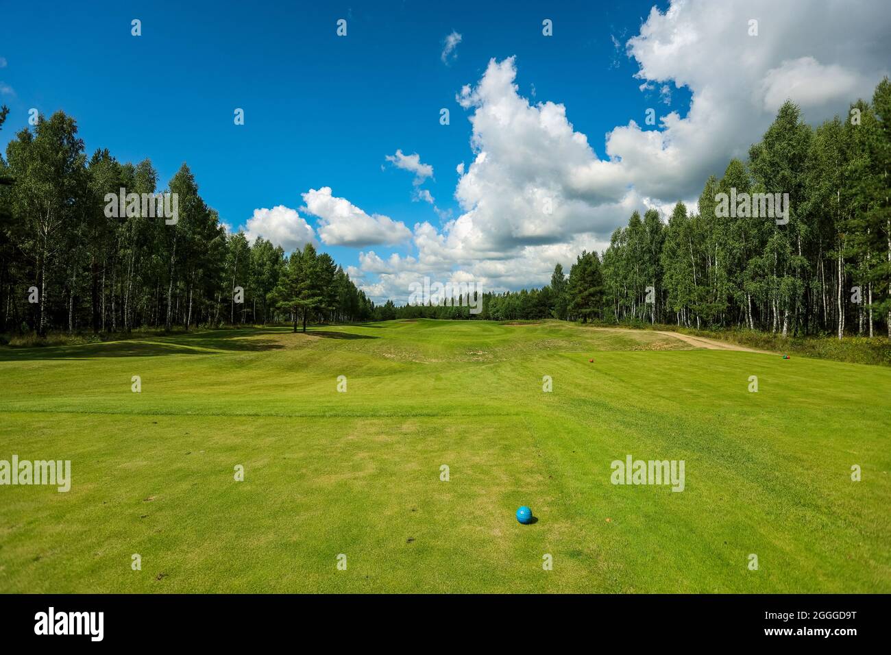 Parcours de golf, paysage, herbe verte sur le fond de la forêt et un ciel lumineux avec des nuages. Photo de haute qualité Banque D'Images