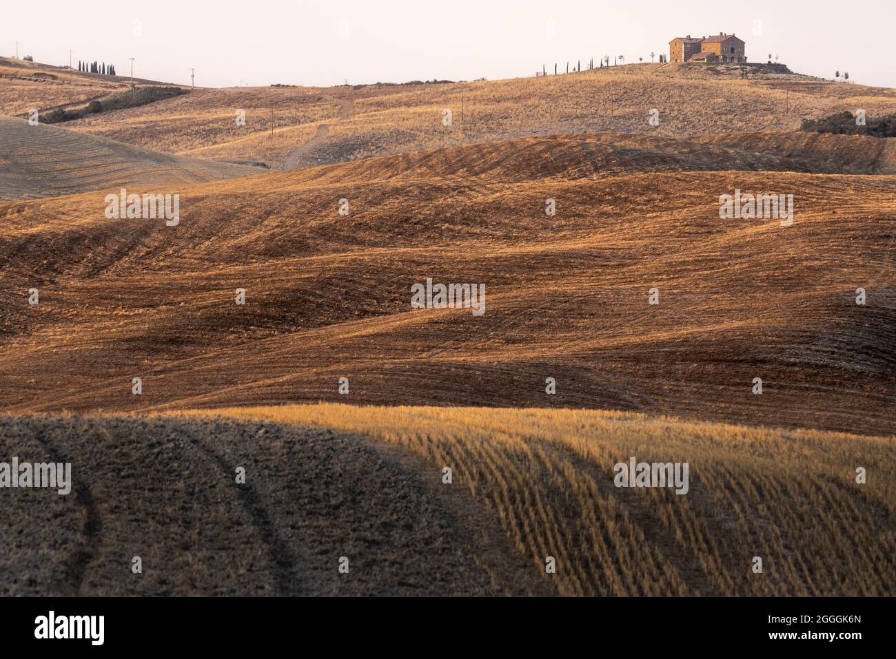 Paysage estival rural tuscanien emblématique, avec des collines couvertes de champs secs récoltés et une maison de campagne éloignée Banque D'Images