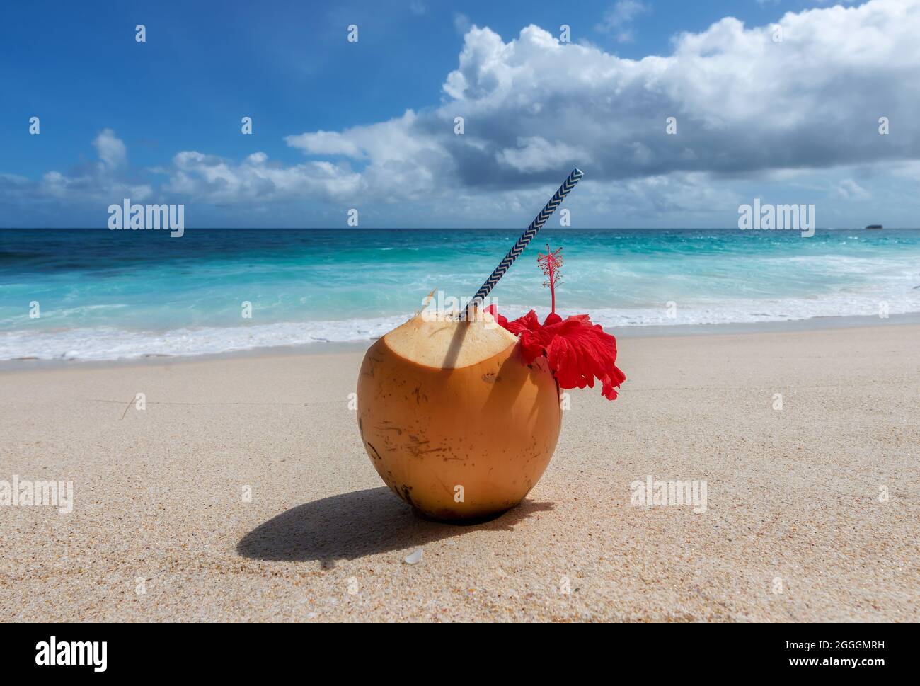 Noix de coco fraîche avec jus tropical sur la plage tropicale Banque D'Images