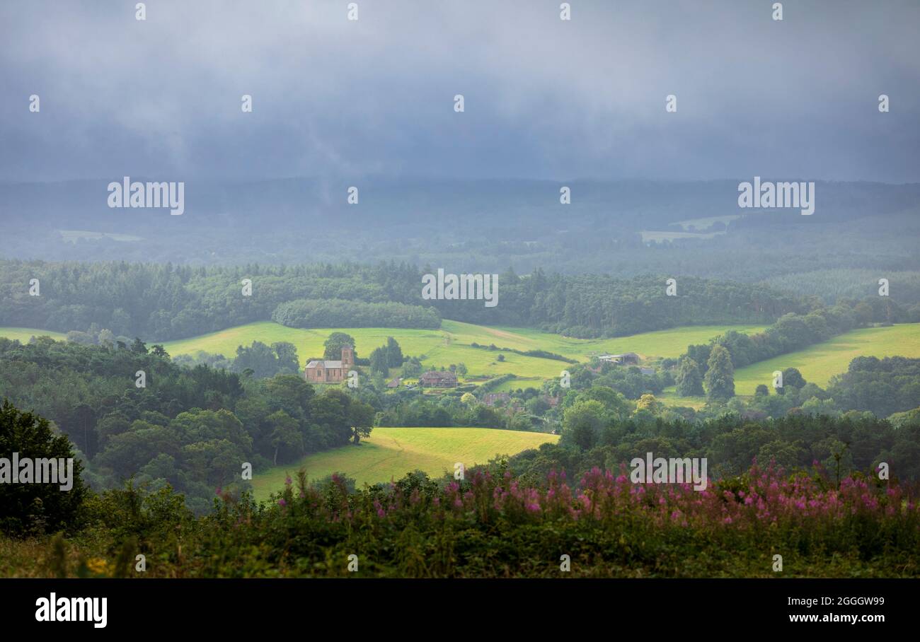 Vue depuis Newlands Corner sur Surrey Hills, North Downs, par une journée humide et nuageux au début du mois d'août Banque D'Images