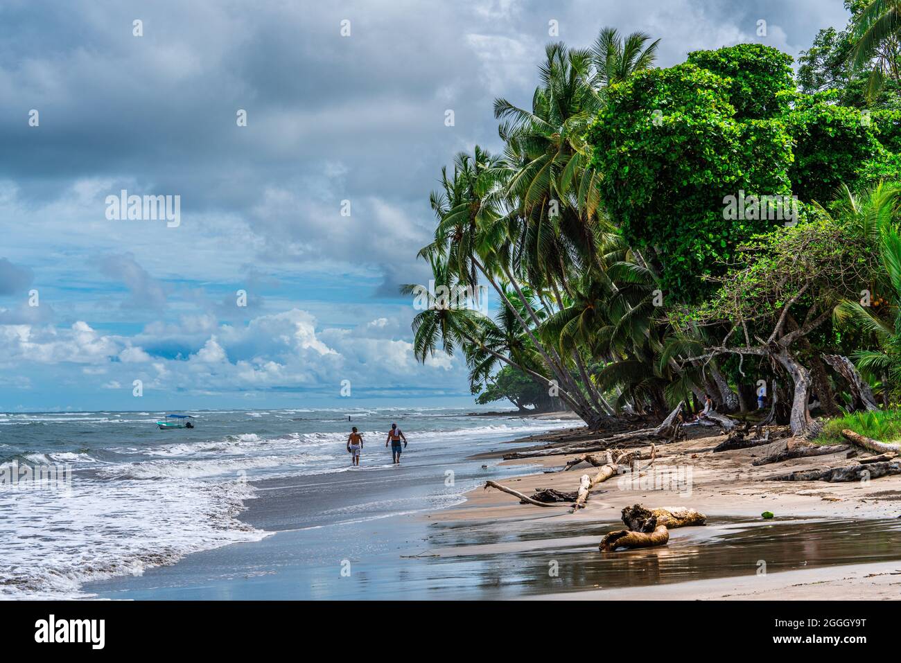 Deux hommes costariciens locaux qui marchent sur une belle plage de sable bordée de grands palmiers à noix de coco verts au Cosast du Pacifique du Costa Rica tropical. Banque D'Images