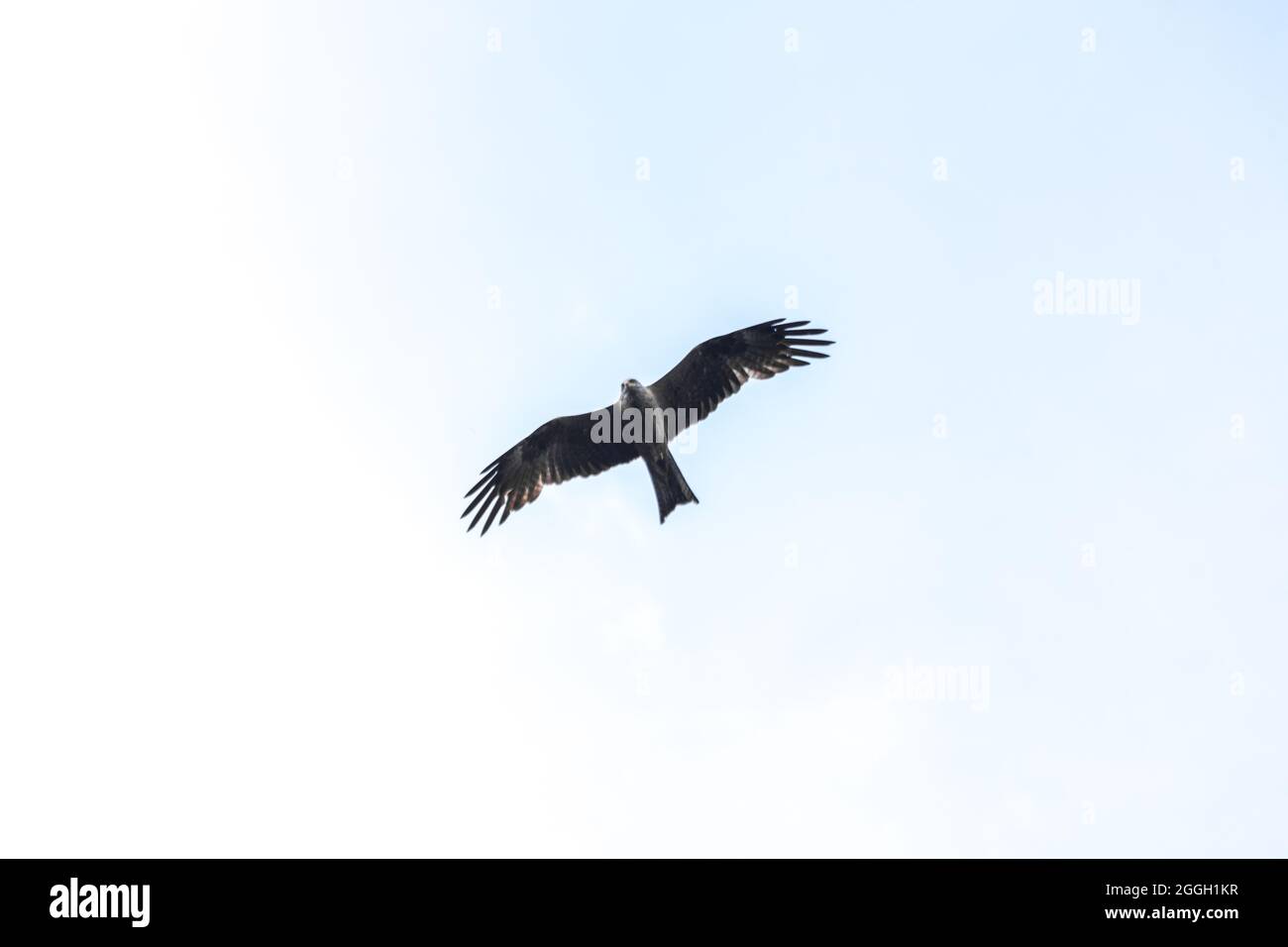 Vol de Milan depuis la vue de dessous Banque D'Images