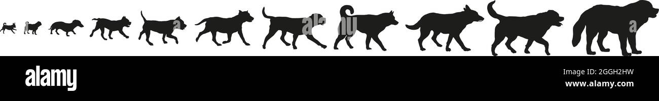 Ensemble de chiens de différentes races. Grandes, moyennes et petites races. Silhouette de chien noire. Isolé sur un fond blanc. Animaux de compagnie. Illustration vectorielle. Illustration de Vecteur