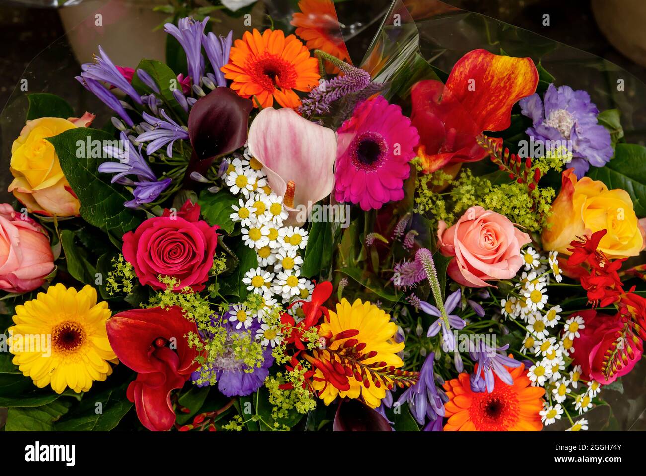 Bouquet de fleurs naturelles colorées contenant des roses, calenduda,  camomille, lis d'arum, lys bleus et autres belles fleurs sauvages Photo  Stock - Alamy