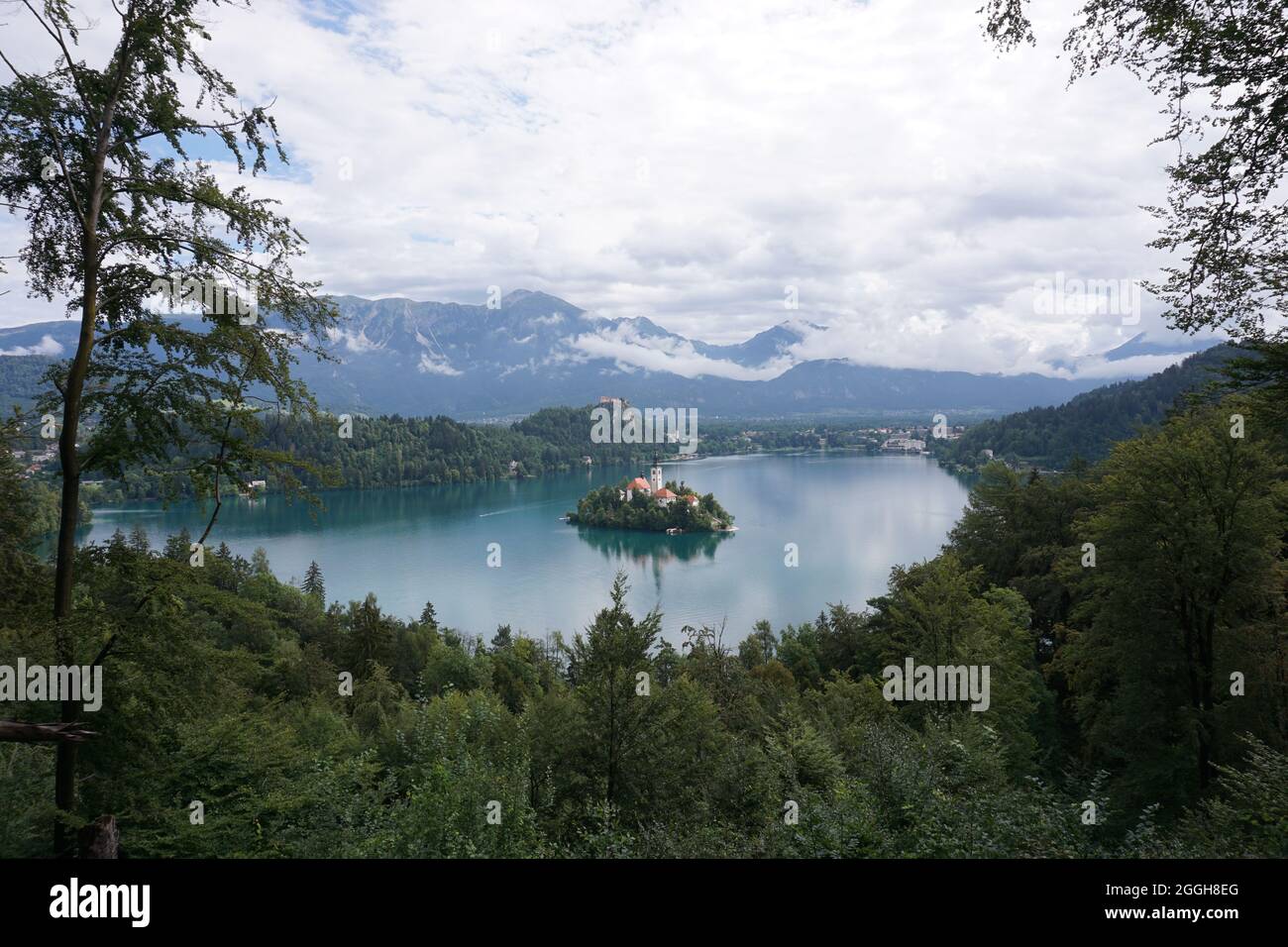 Sur le chemin jusqu'au point de vue au-dessus du lac Bled, Slovénie 2020 Banque D'Images