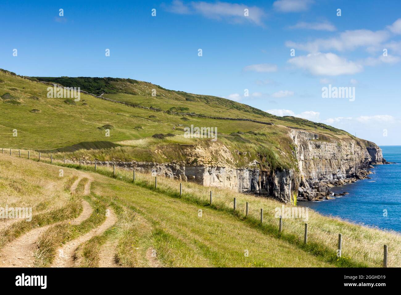 Sentier côtier à Spyway sur la côte jurassique, Dorset, Angleterre Banque D'Images