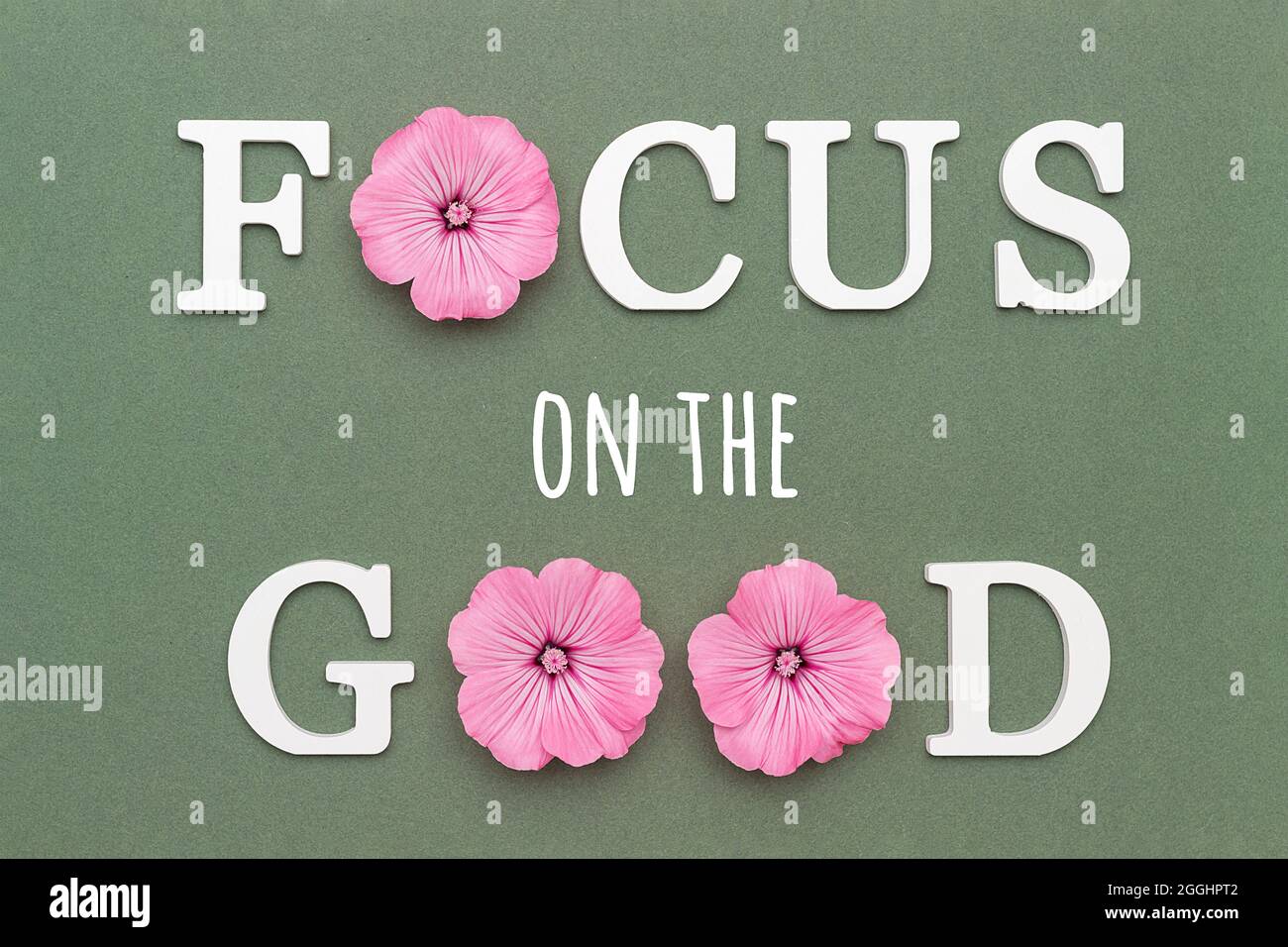Concentrez Vous Sur Le Bien Citation Motivationnelle De Lettres Blanches Et De Fleurs Roses Sur Fond Vert Concept Creatif Citation Inspirante De La Journee Photo Stock Alamy