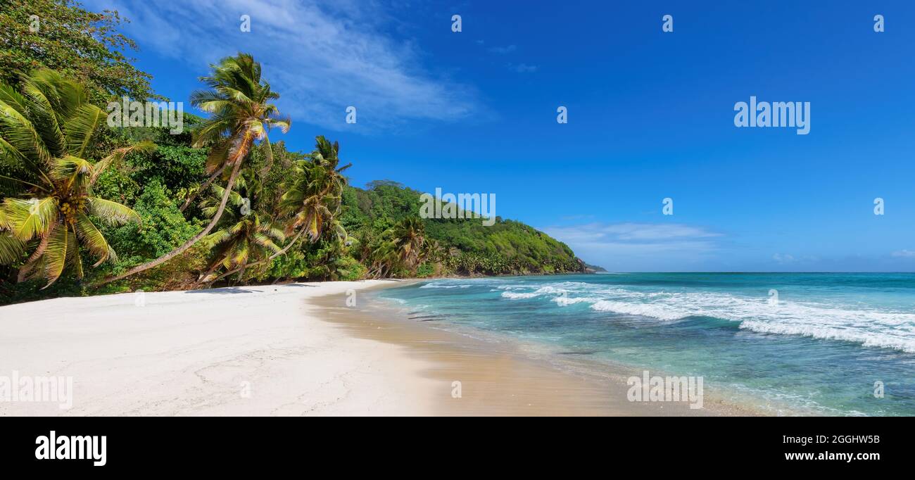 Large plage de sable tropical dans l'île paradisiaque dans l'océan Banque D'Images