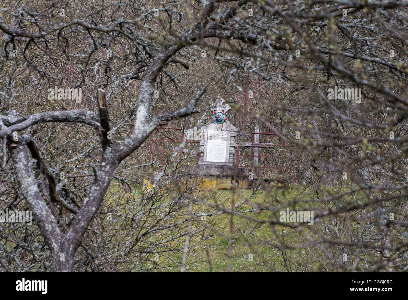 Une seule pierre à tête funéraire située à distance dans la profondeur d'une forêt. Banque D'Images