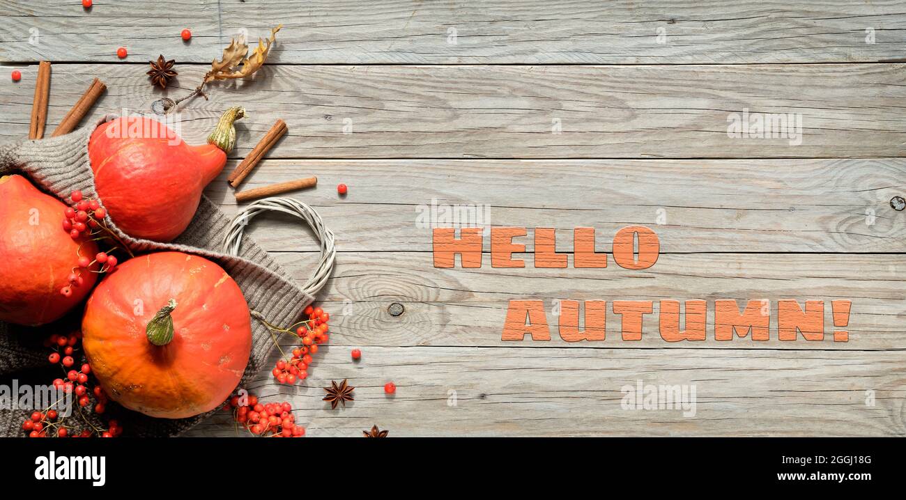 Hallo automne, texte avec citrouilles Hokkaido orange, baies rowan et décorations d'automne. Plat, vue de dessus sur vieux, grunge, ancienne table en bois Banque D'Images