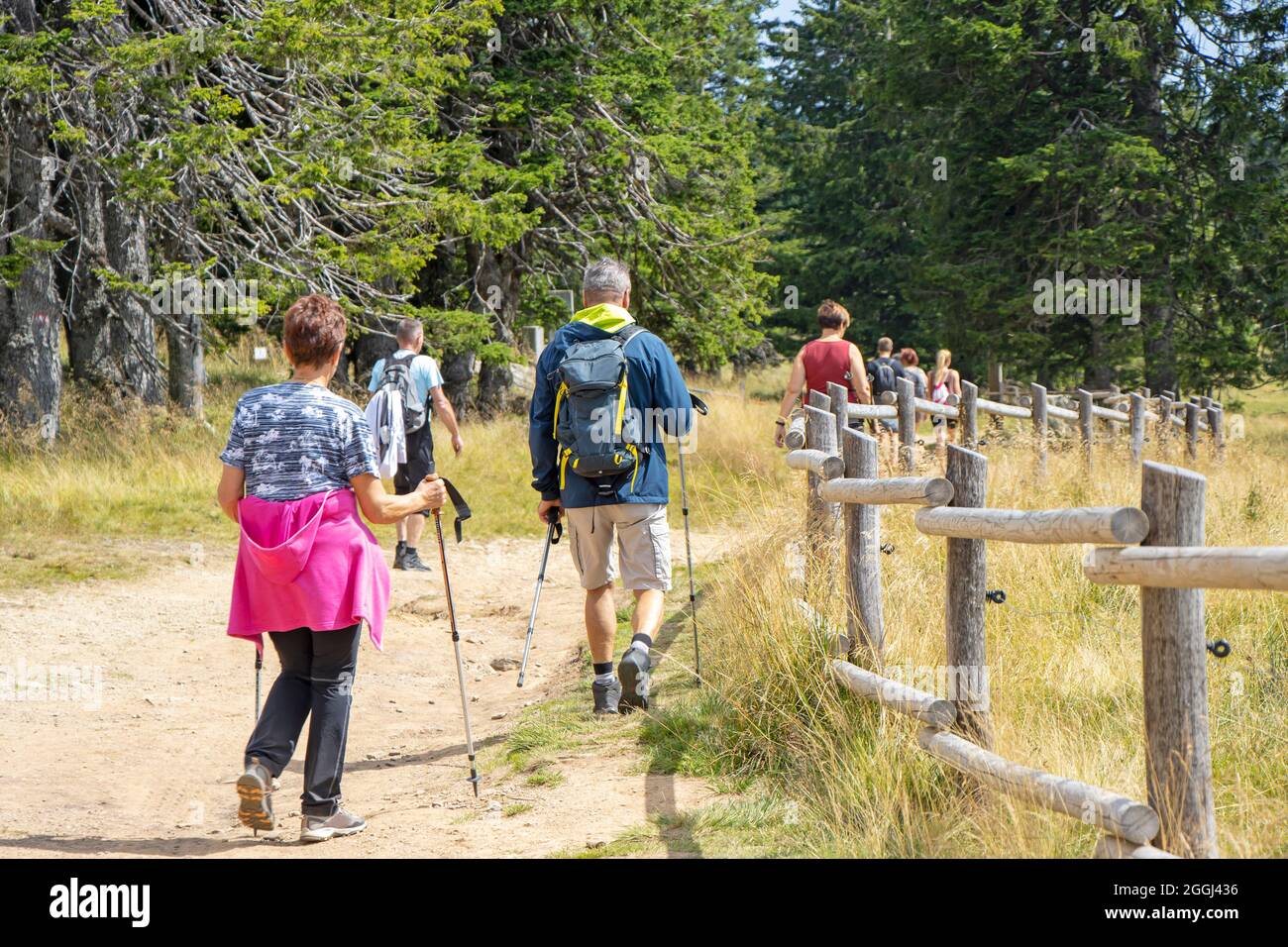 Groupe de personnes marchant par le sentier de randonnée, à Rogla, Slovénie Banque D'Images