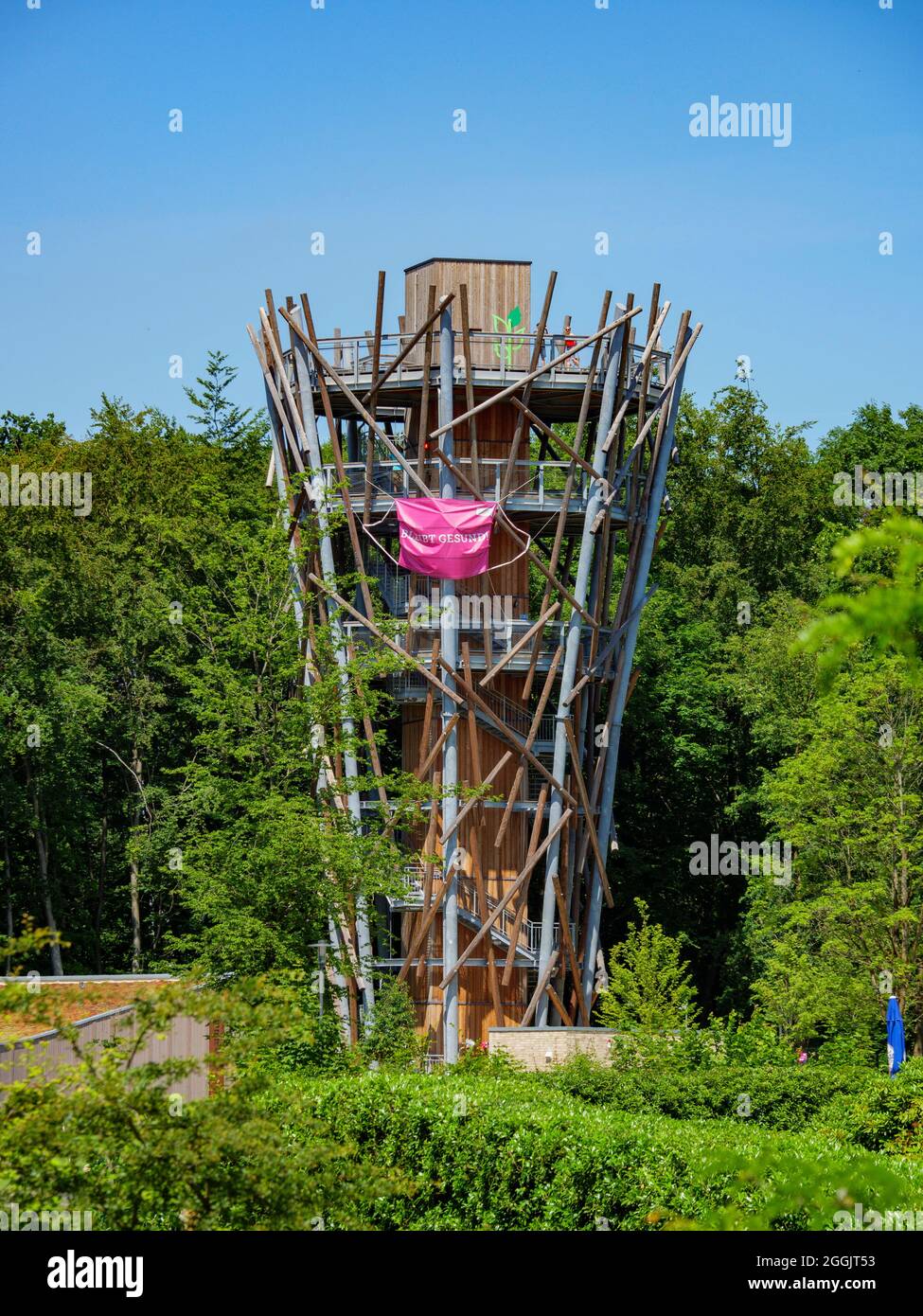 Treetop Path, Bad Iburg, Teutoburg Forest, Osnabruecker Land, Basse-Saxe, Allemagne Banque D'Images