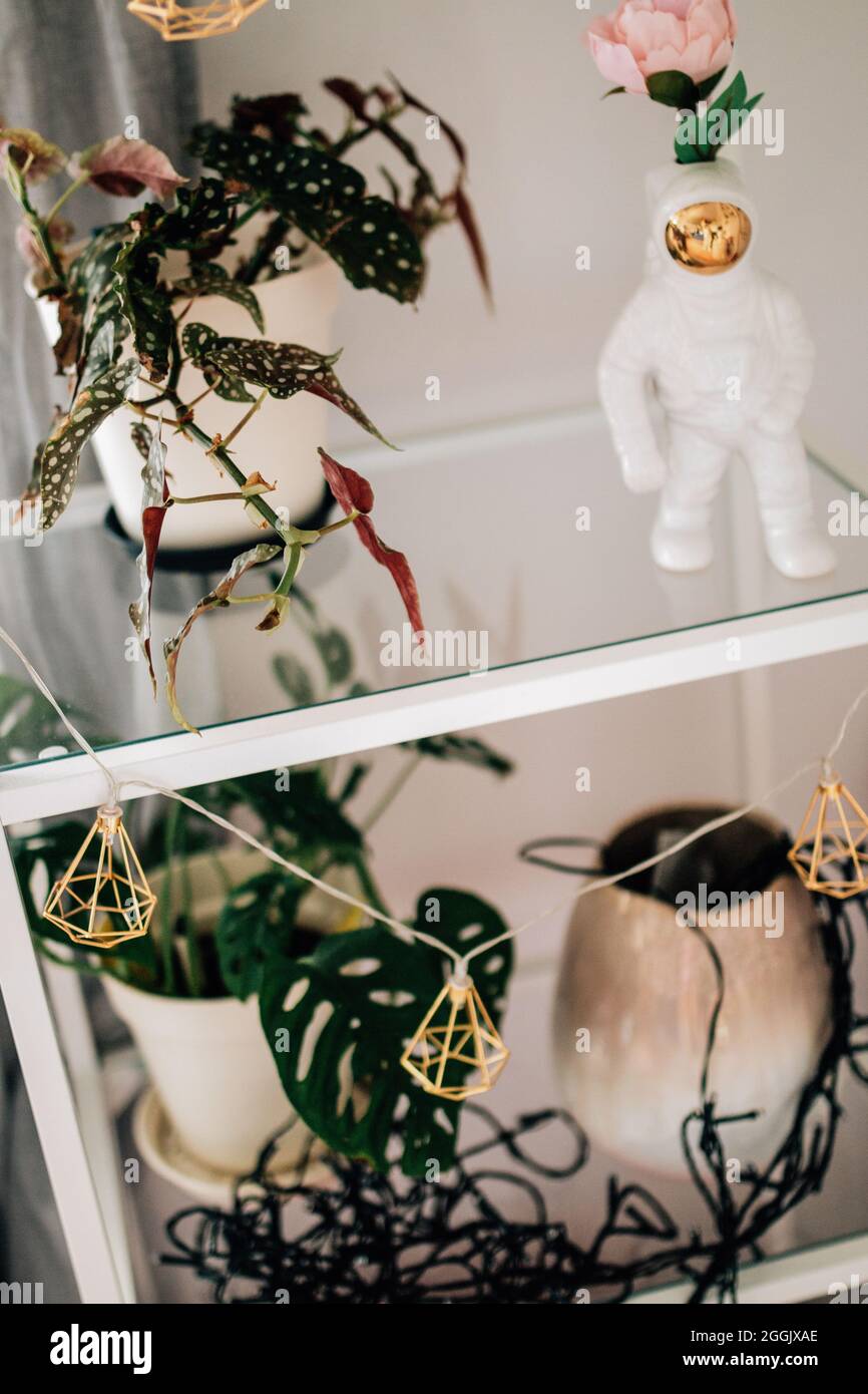 Plantes sur une étagère avec décoration (astronaute et poisson), mostère de singe, plante ponctuelle, eeutute / Instagram look Banque D'Images