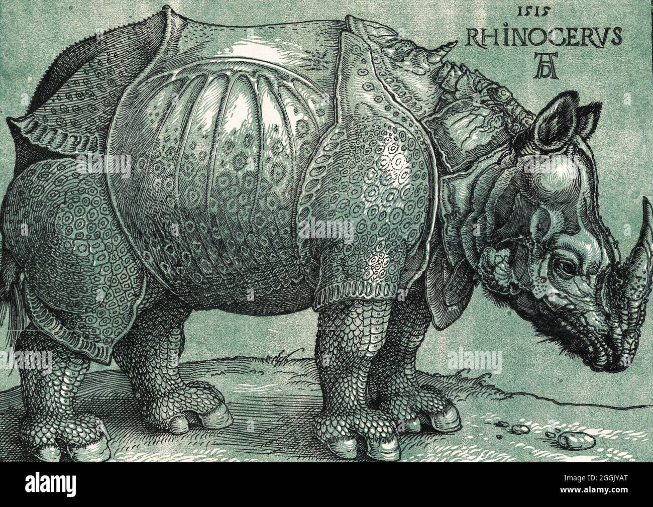 Le Rhinoceros par Albrecht Dürer (1471-1528), coupe de bois colorée, 1515 Banque D'Images