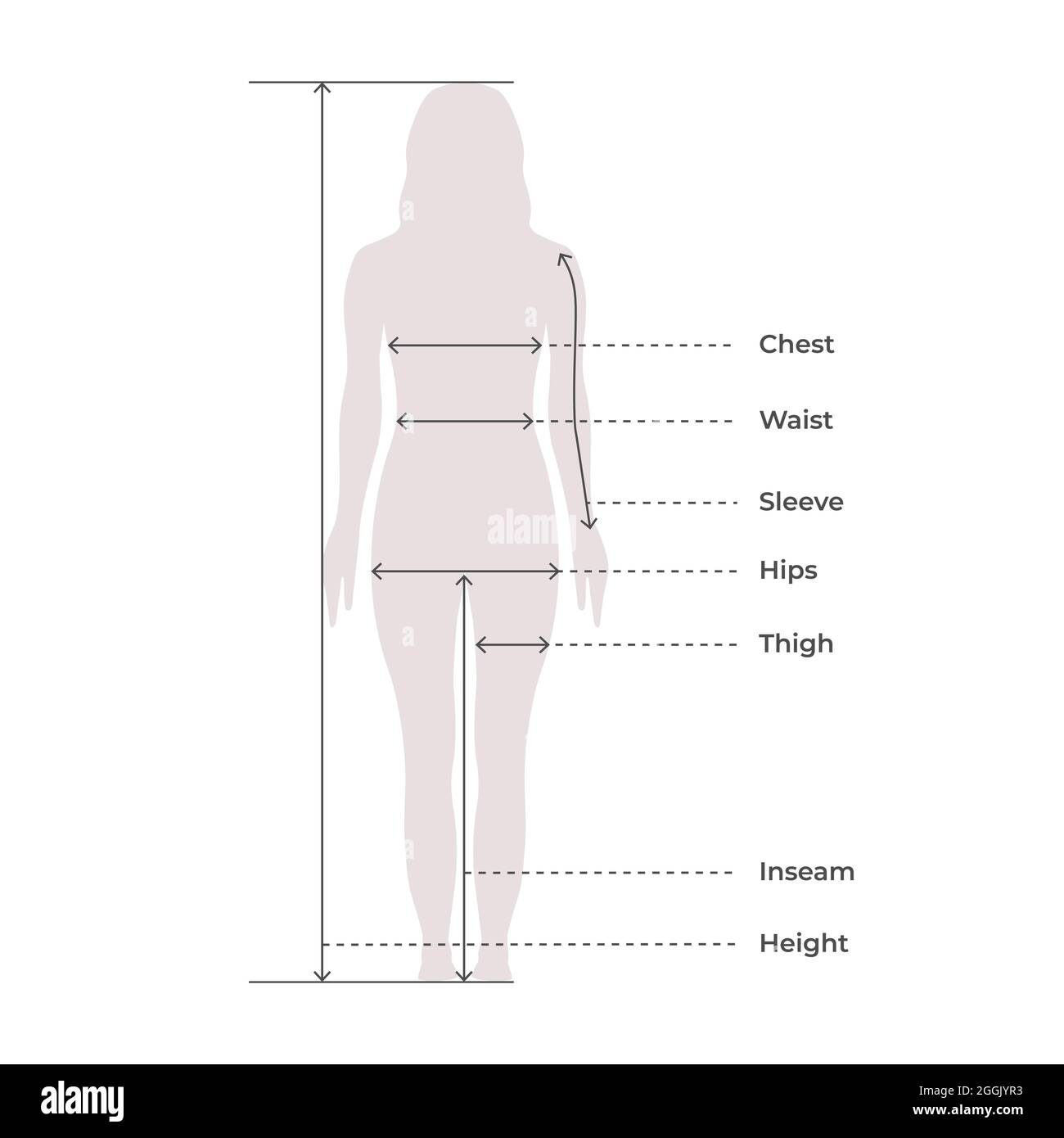 Proportion de mesures du corps féminin pour la conception de vêtements et  le tableau de couture pour l'illustration du vecteur de mode Image  Vectorielle Stock - Alamy