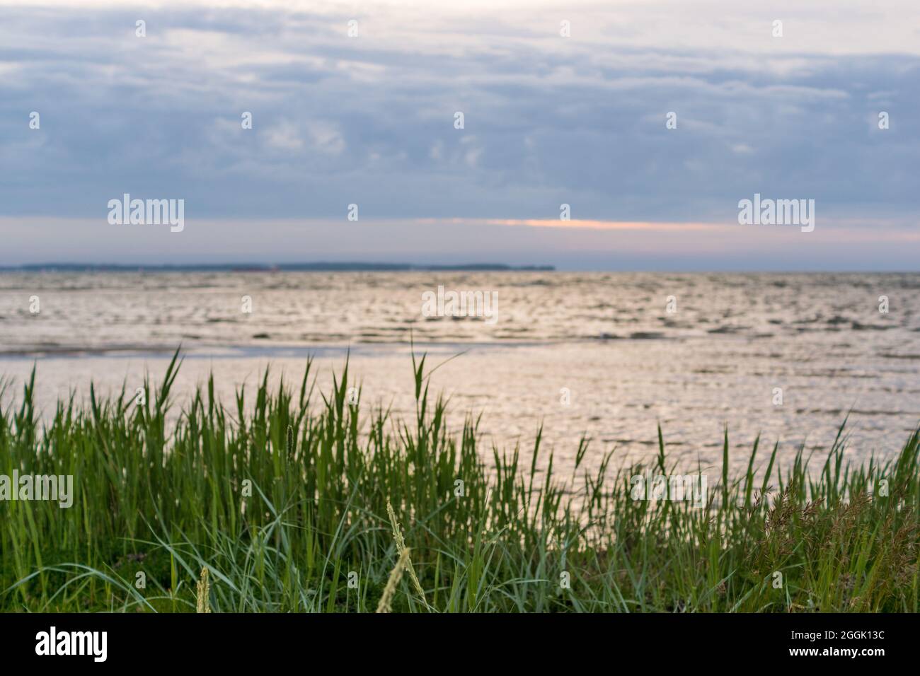 Vue sur la plage de la mer Baltique à Stein, fjord de Kiel, Allemagne Banque D'Images