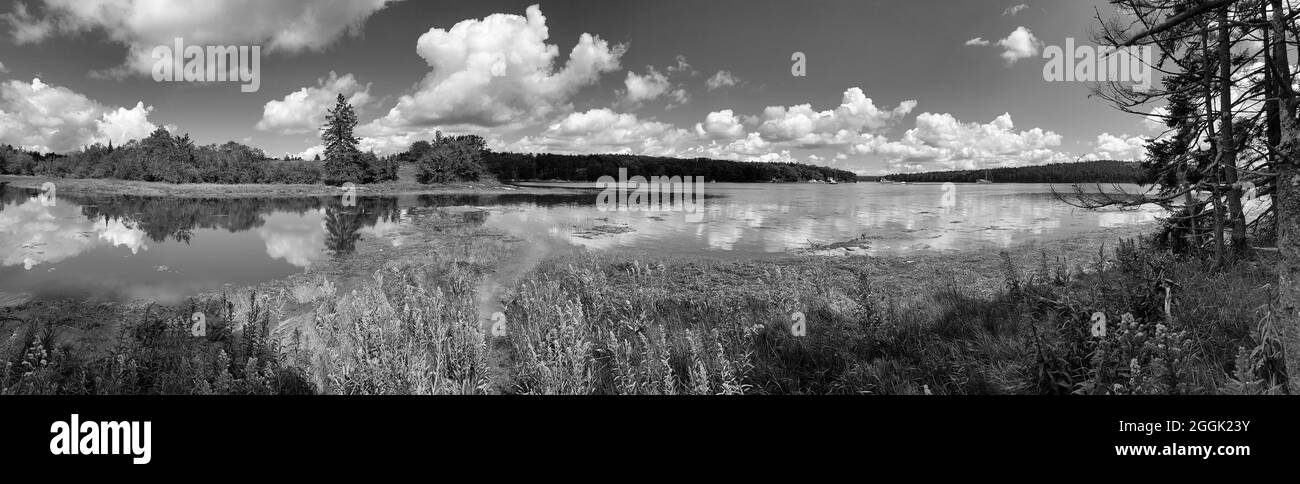 Vue panoramique sur la rivière Bagaduce depuis la réserve Starr & Virgina Lampton de 21 hectares à Castine, Maine, ME, États-Unis Banque D'Images