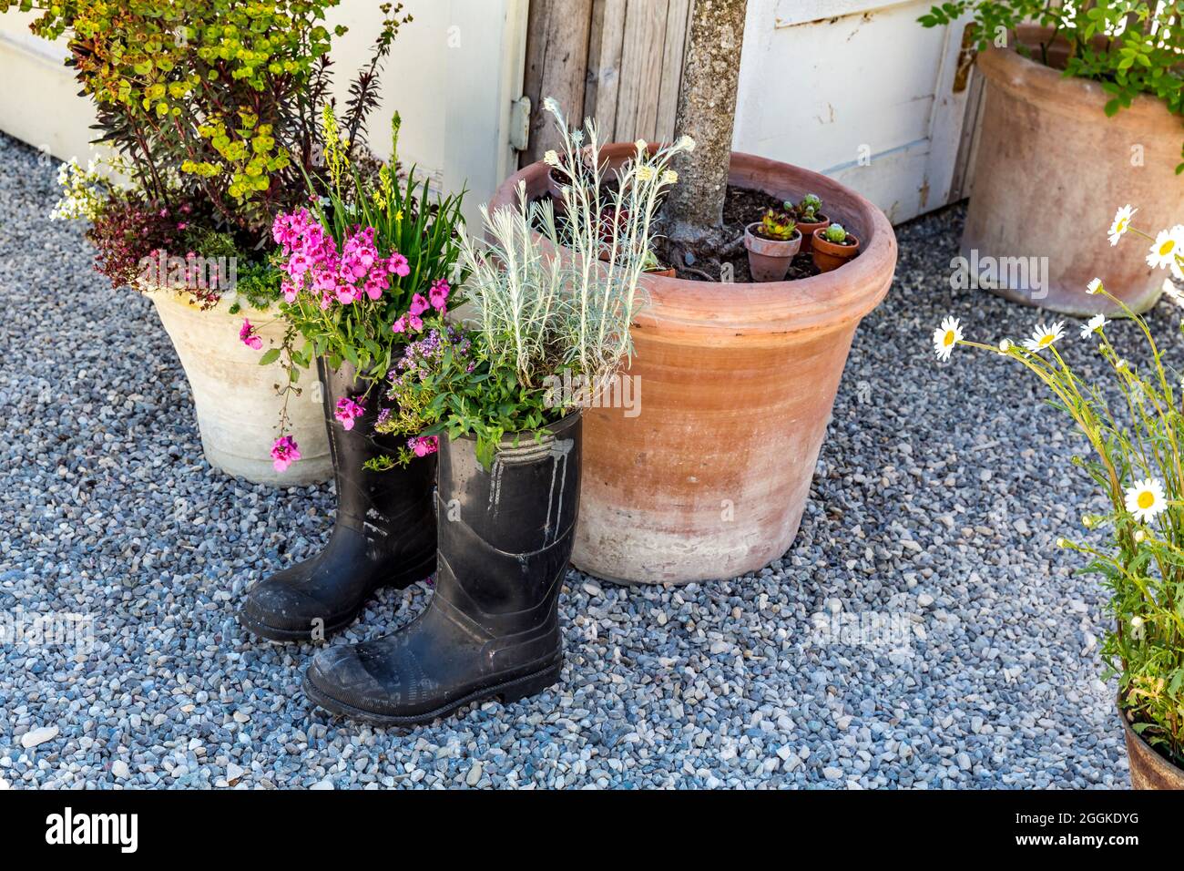 Vieilles bottes en caoutchouc comme un pot de fleur, inspiration nature, State Garden Show, Ingolstadt 2020, New Term 2021, Ingolstadt, Bavière, Allemagne, Europe Banque D'Images