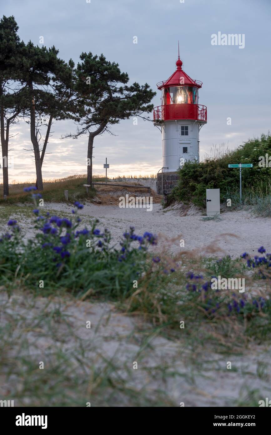 Allemagne, Mecklembourg-Poméranie occidentale, île de Hiddensee, phare sur la Gellen, promontoire dans le sud de l'île de la mer Baltique, Parc national de la région du lagon de Poméranie occidentale, Mer Baltique Banque D'Images