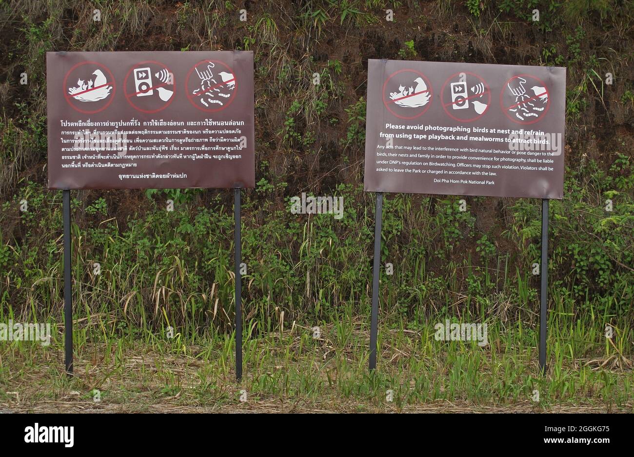 Signes dans NP pour les photographes d'oiseaux en anglais et Thai Doi Pha Hom Pok NP, Doi Land, Thaïlande Novembre Banque D'Images