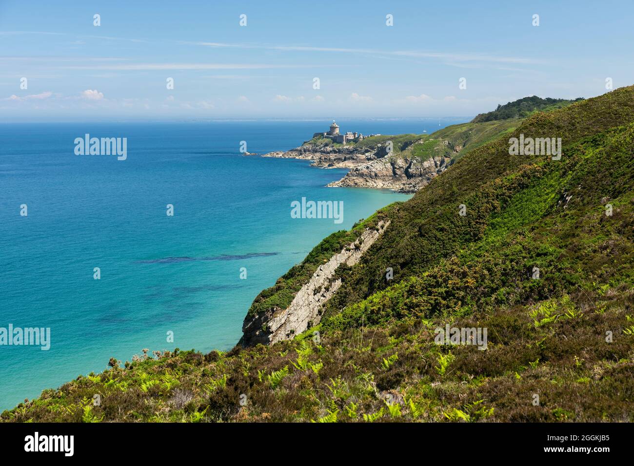 Côte au Cap Fréhel, en arrière-plan fort la Latte, près de Plévenon, France, Bretagne, Département Côtes d’Armor, Côte d’Émeraude (Côte d’Émeraude) Banque D'Images