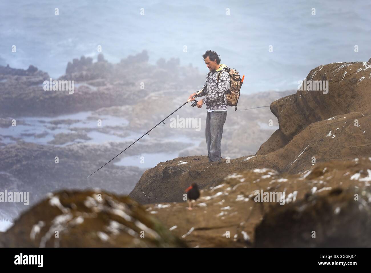 Un homme pêchant sur un rocher par une journée venteuse. Oregon, États-Unis. Banque D'Images