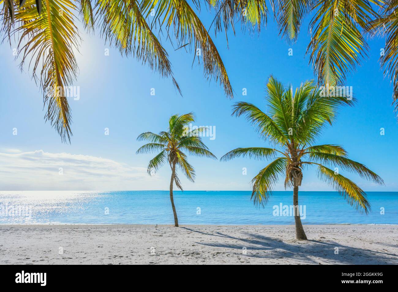 Smathers Beach, Key West, Floride, États-Unis Banque D'Images