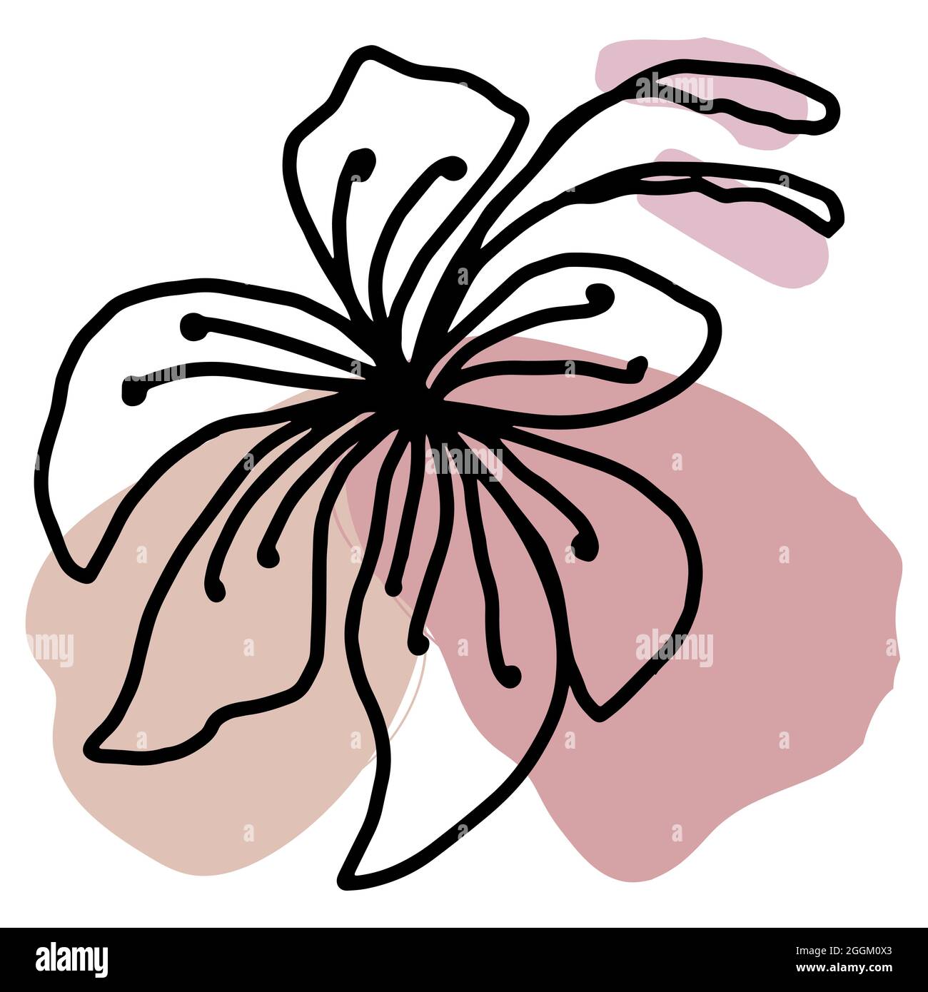 Dessin à la main avec contour minimaliste et motif floral vectoriel Illustration de Vecteur