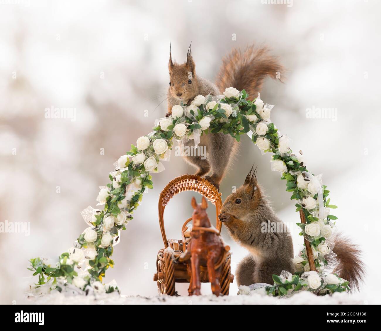 Les écureuils rouges avec un cheval, chariot et fleurs Banque D'Images