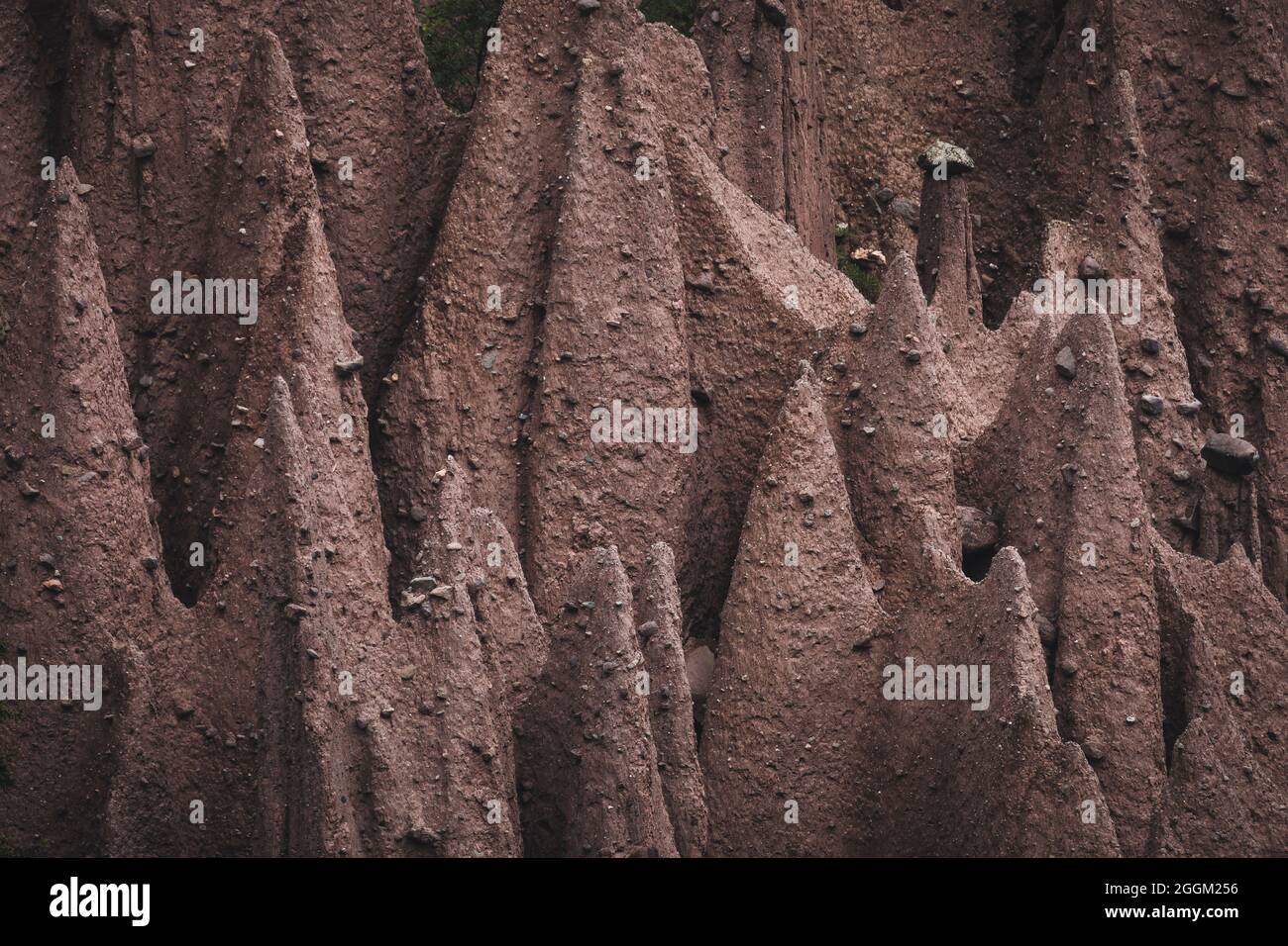 Les pyramides de la terre à Ritten. Banque D'Images