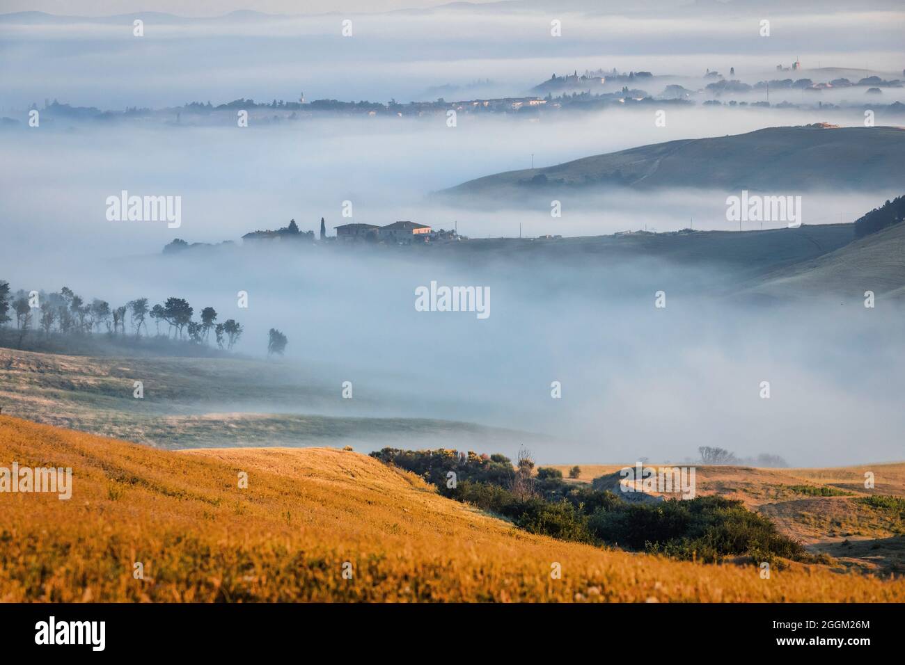 Paysage toscan typique, matin avec brouillard dans les vallées et collines vallonnées de la Crète Senesi, asciano, province de sienne, toscane, italie Banque D'Images