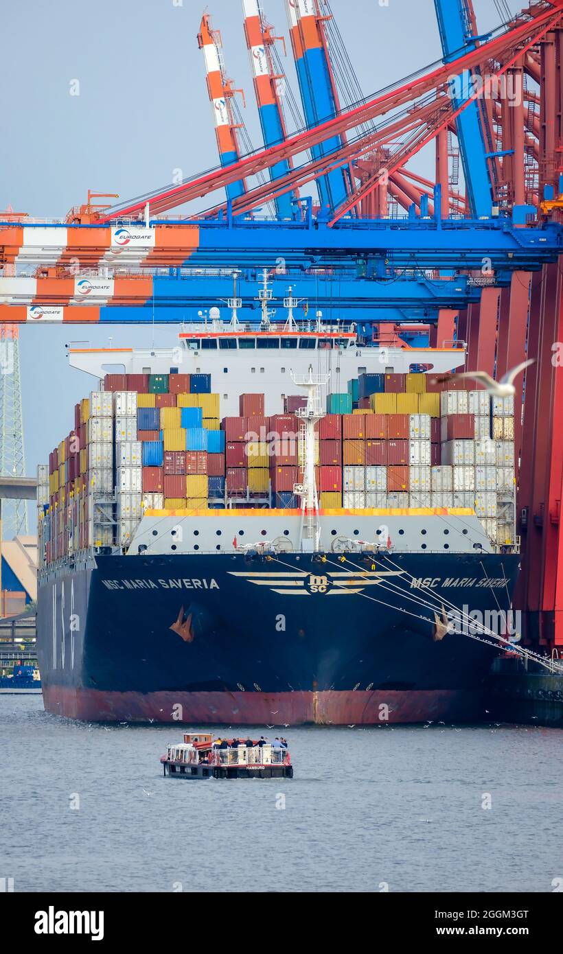 Hambourg, Allemagne - navires à conteneurs dans le port de Hambourg, le navire à conteneurs MSC Maria Saveria de la compagnie maritime MSC se trouve au terminal à conteneurs Eurogate. Le navire à conteneurs de 366 mètres de long Maria Savoia peut transporter jusqu'à 12,400 conteneurs maritimes. Le port de Hambourg est le point final de la route maritime de la soie vers la Chine. Banque D'Images
