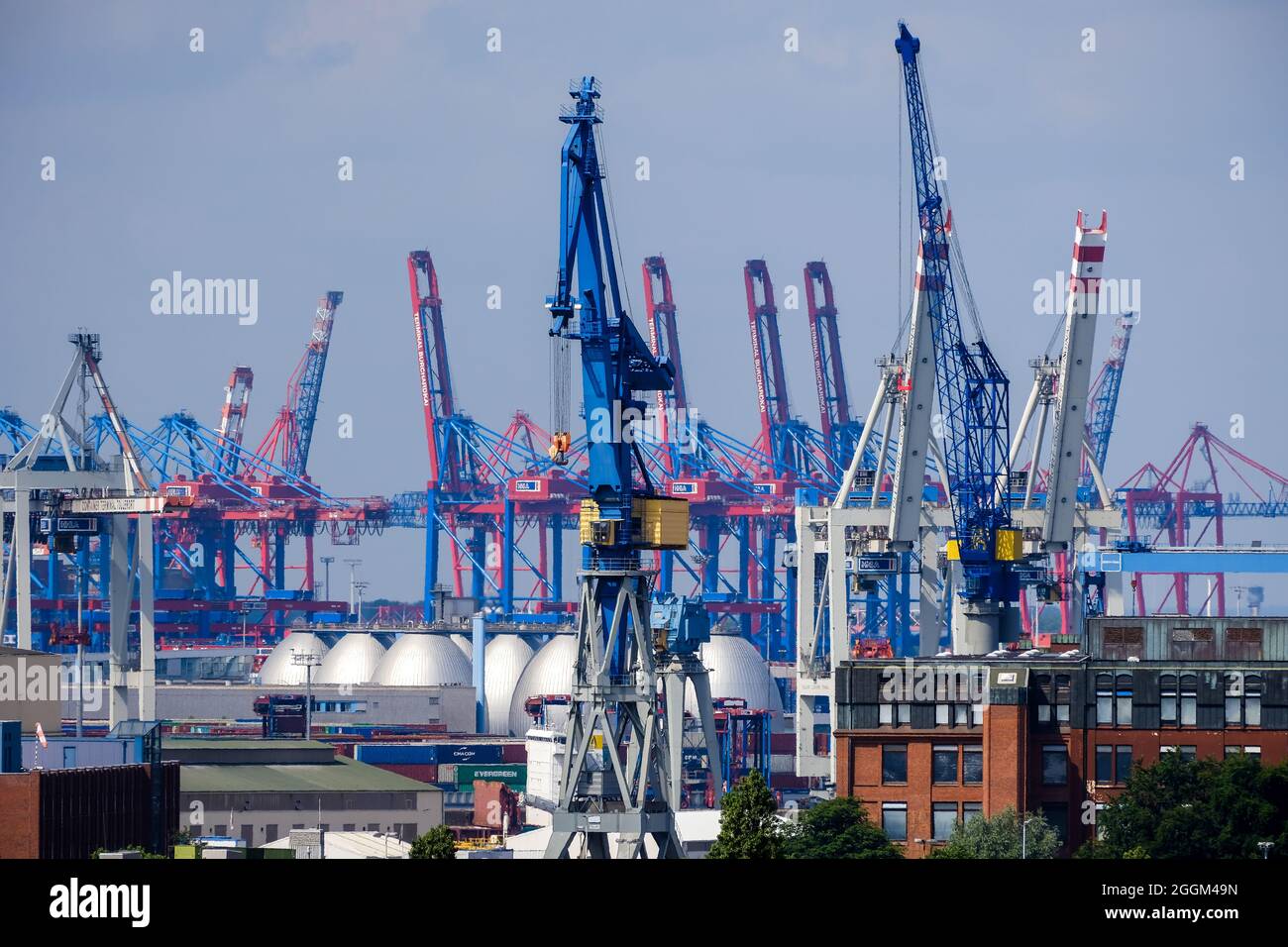 Hambourg, Allemagne - vue sur la ville du port de Hambourg, Hafenkraene au terminal à conteneurs Burchardkai. Banque D'Images