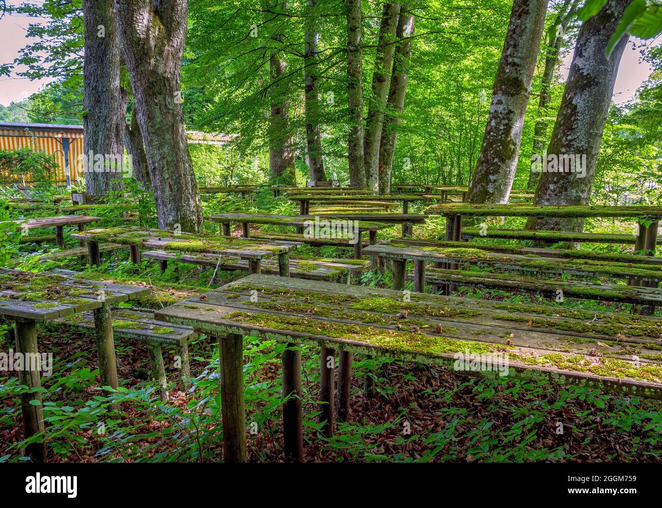 Place perdue, jardin de bière surcultivé avec des sièges couverts de mousse, Gasthof Obermuehltal, Bavière, Allemagne, Europe Banque D'Images