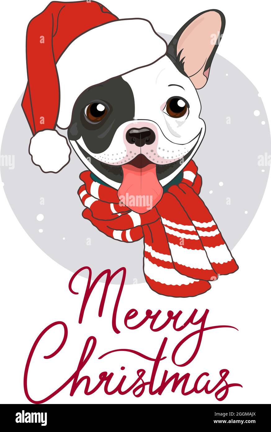 Joyeux Noel Affiche D Hiver Mignonne Chien De Taureau Francais Noir Et Blanc Avec Echarpe Chaude Et Chapeau Du Pere Noel Illustration Vectorielle D Un Chien D Un Conge Carte Du Nouvel An Design Pour Joyeux Noel Affiche D Hiver Mignonne Chien De Taureau Francais Noir Et Blanc Avec Echarpe Chaude Et Chapeau Du Pere Noel Illustration Vectorielle D Un Chien D Un Conge Carte Du Nouvel An Design Pour