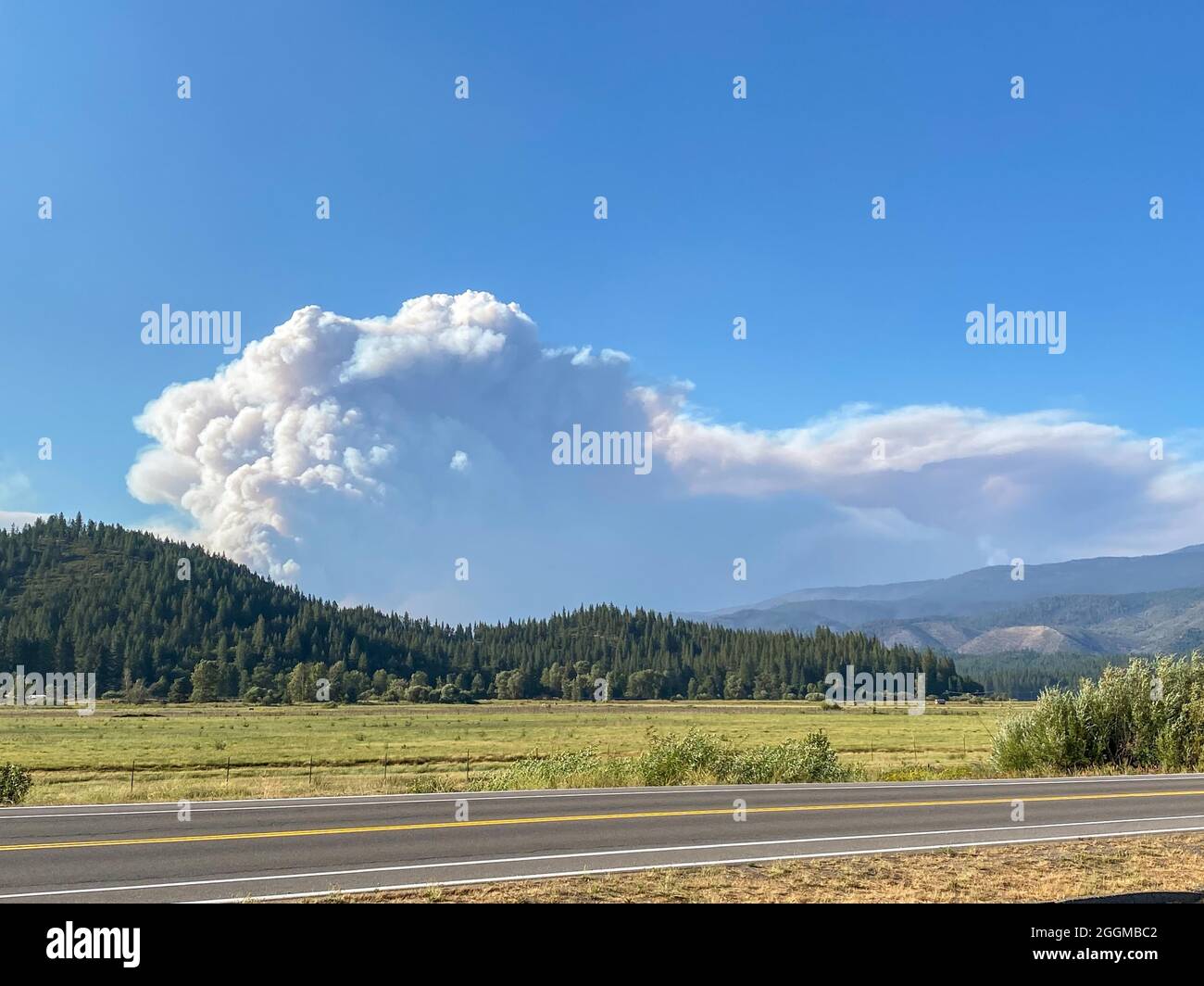 Un grand nuage de fumée au-dessus des montagnes et un champ près de Greenville. Le feu de Dixie est un feu de forêt qui a brûlé Greenville (Californie) jusqu’au sol et a brûlé 844,082 acres à la fin du mois d’août 2021 dans les comtés de Butte, Plumas et Tehama en Californie. L'incendie, qui a débuté le 13 juillet 2021, est le plus grand complexe de feux enregistré de l'histoire de la Californie. Les conditions de sécheresse en Californie ont rendu la saison des incendies de 2021 extrême. Banque D'Images