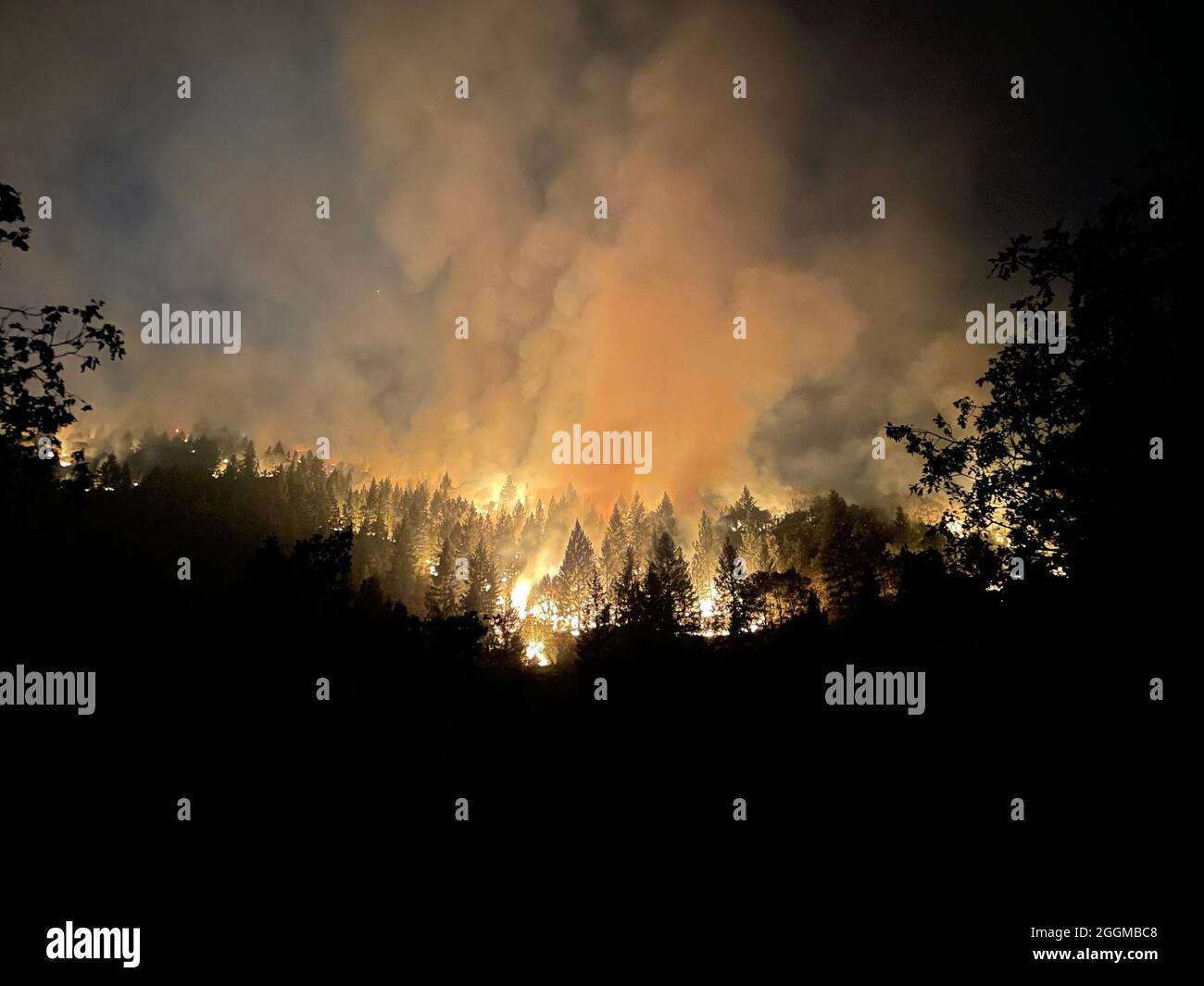 Comportement actif au feu la nuit du 25 août près de Taylorsville le feu Dixie est un feu de forêt qui a brûlé Greenville, Californie au sol et a brûlé 844,082 acres à la fin du mois d’août 2021 dans les comtés de Butte, Plumas et Tehama, en Californie. L'incendie, qui a débuté le 13 juillet 2021, est le plus grand complexe de feux enregistré de l'histoire de la Californie. Les conditions de sécheresse en Californie ont rendu la saison des incendies de 2021 extrême. Banque D'Images