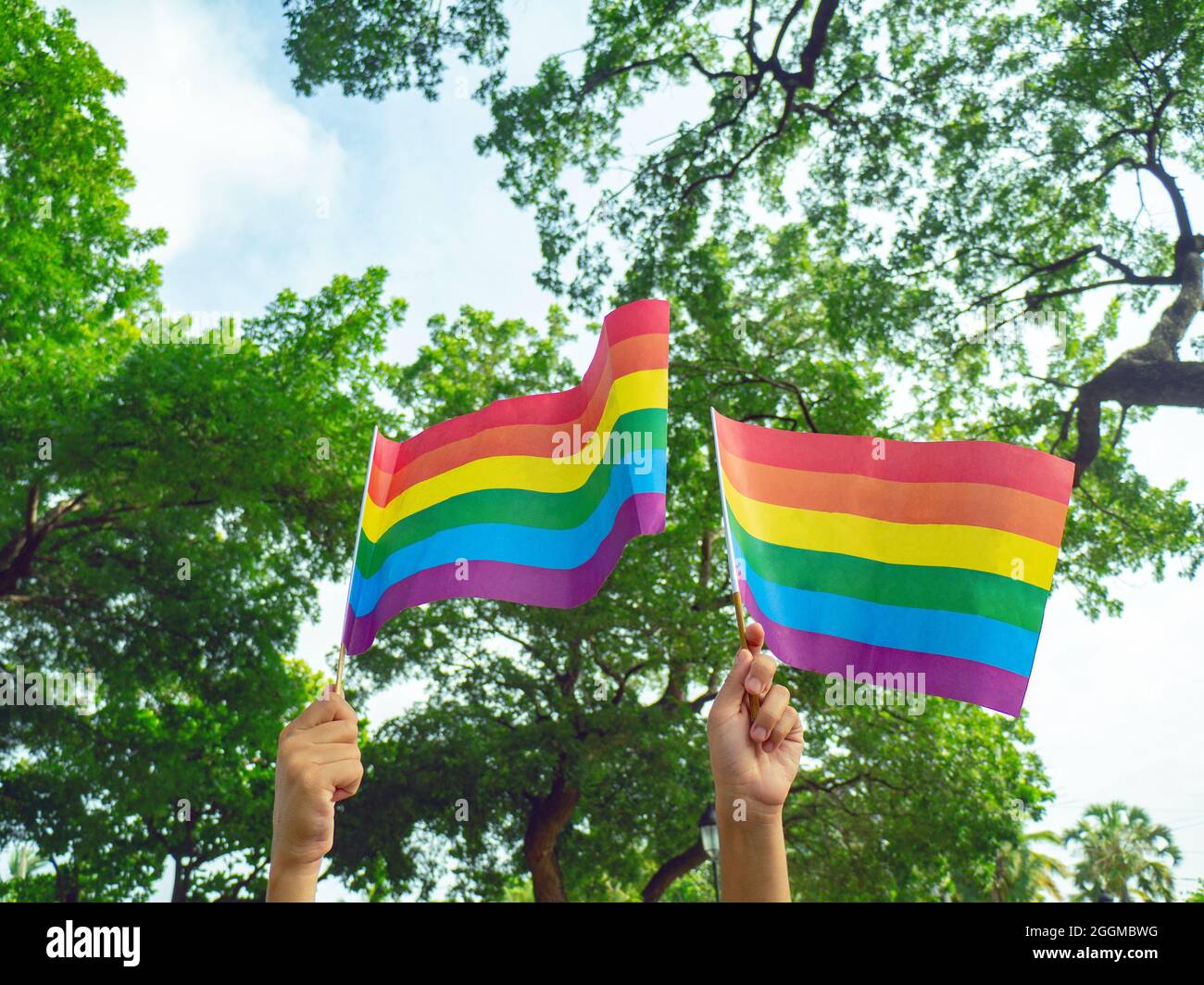 Deux mains tiennent de petits drapeaux arc-en-ciel pour soutenir le mouvement LGBTQ, en arrière-plan des arbres verts. Banque D'Images