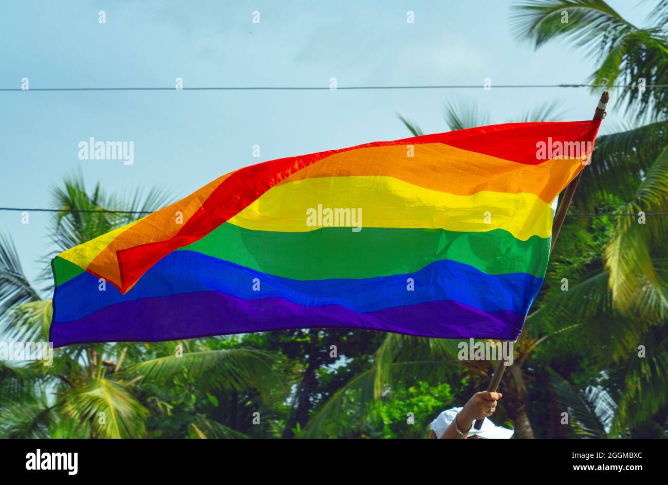 Une main tient un grand drapeau arc-en-ciel en soutien du mouvement LGBTQ, dans l'arrière-plan des arbres verts. Banque D'Images