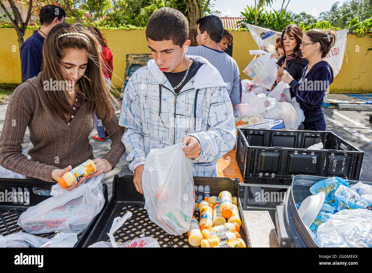 Miami Florida,Thanksgiving turquie libre de nourriture bénévoles bénévoles travaillant en aidant, hispanique fille garçon adolescent adolescents adolescents étudiants préparer Banque D'Images