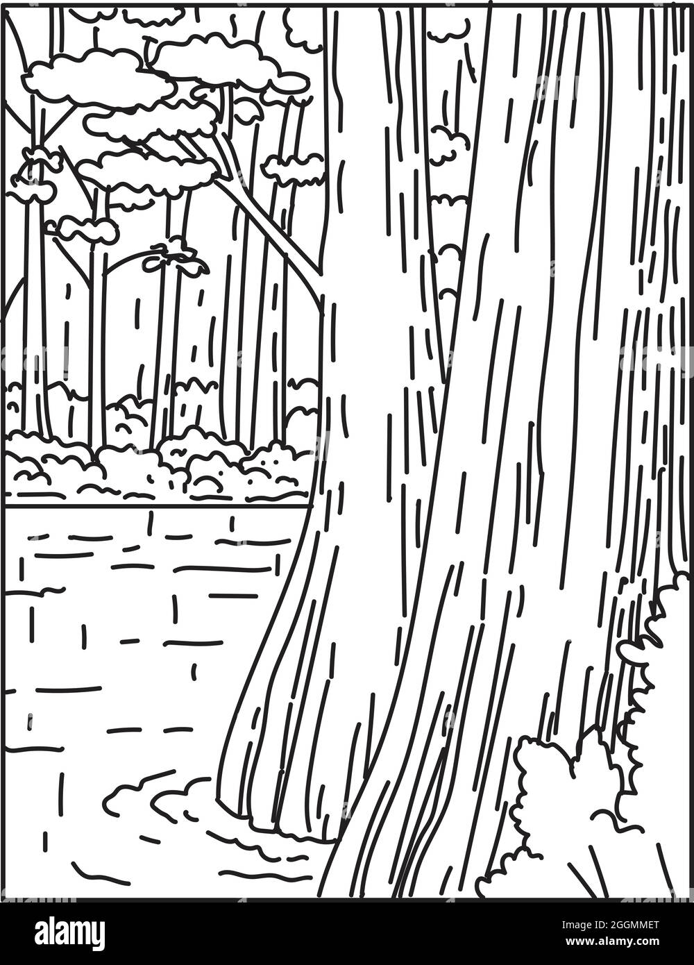Illustration mono-ligne de la forêt de feuillus d'embouteillage dans le parc national de Congaree dans le centre de la Caroline du Sud, États-Unis fait en monolin rétro noir et blanc Illustration de Vecteur
