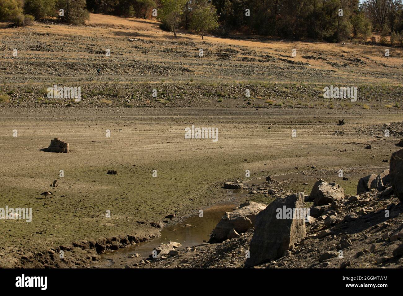 Vue de jour des conditions de sécheresse graves du lac Folsom, un réservoir de Folsom, Californie, États-Unis. Banque D'Images