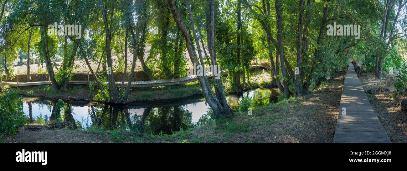 Rivière Gevora, la Codosera, Badajoz, Estrémadure, Espagne. Emplacement idyllique d'eaux cristallines et de forêts au bord de la rivière Banque D'Images