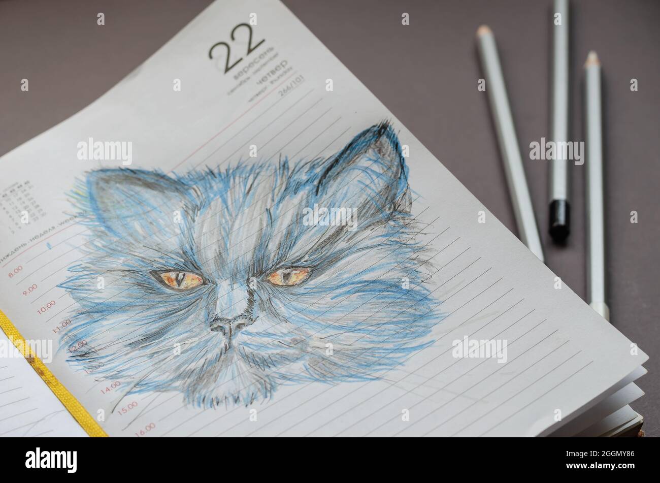 Dessin Au Crayon Realiste D Un Chat Sur Les Pages D Un Journal Ouvert Avec Un Signet Jaune Animal De Compagnie Bleu Dessine A La Main Sur Fond Gris Plusieurs Crayons Couches Photo Stock