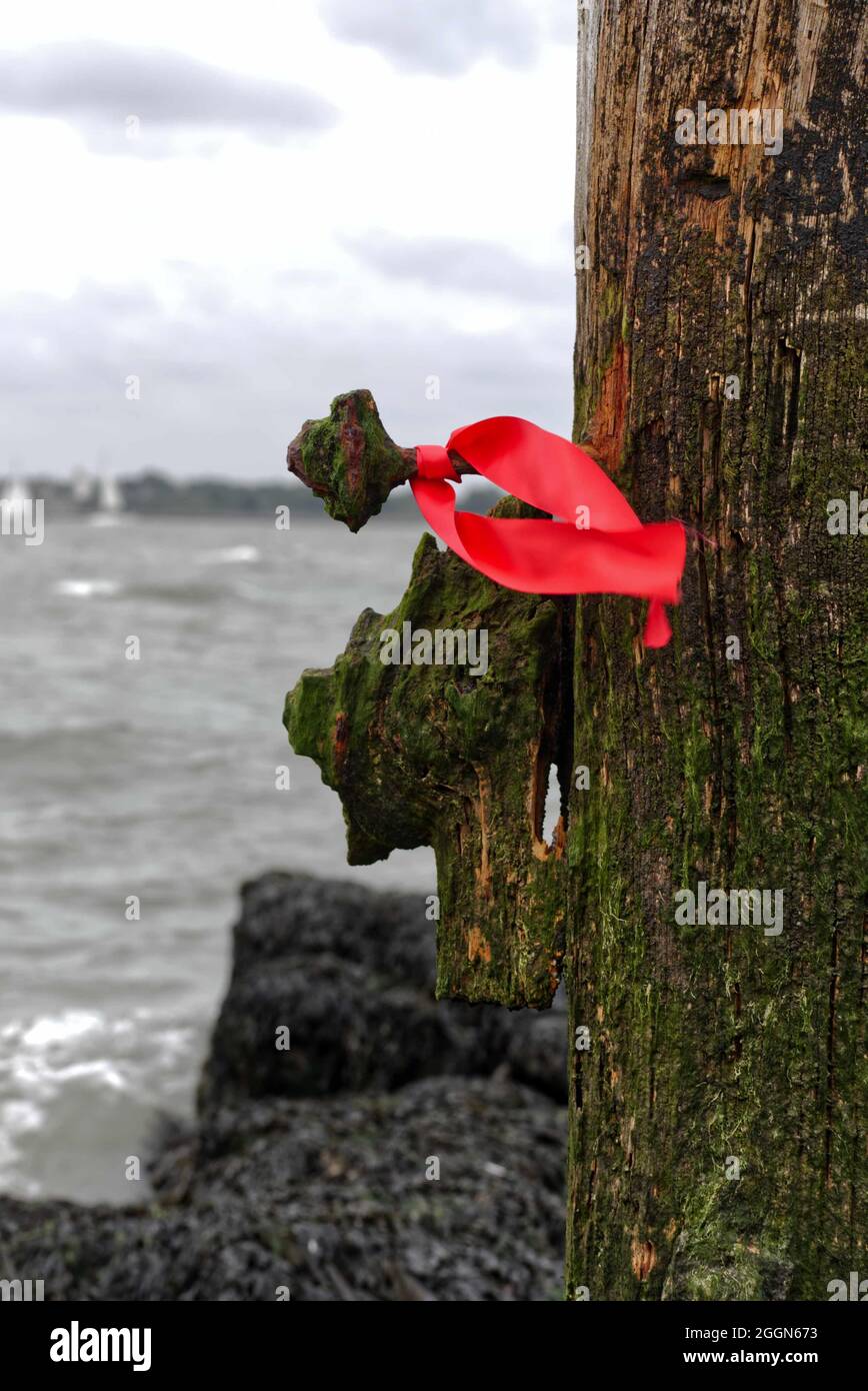 Ruban rouge sur un ancien poteau en bois au bord de la mer, poste avec lichen de mer sur lui. Banque D'Images