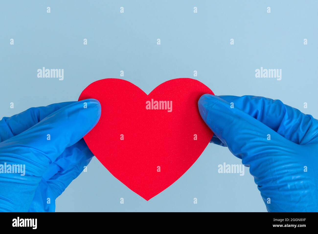 Saint-Valentin pendant la pandémie du coronavirus. Deux mains en gants médicaux bleus tenant un modèle en forme de coeur rouge sur fond bleu, co Banque D'Images