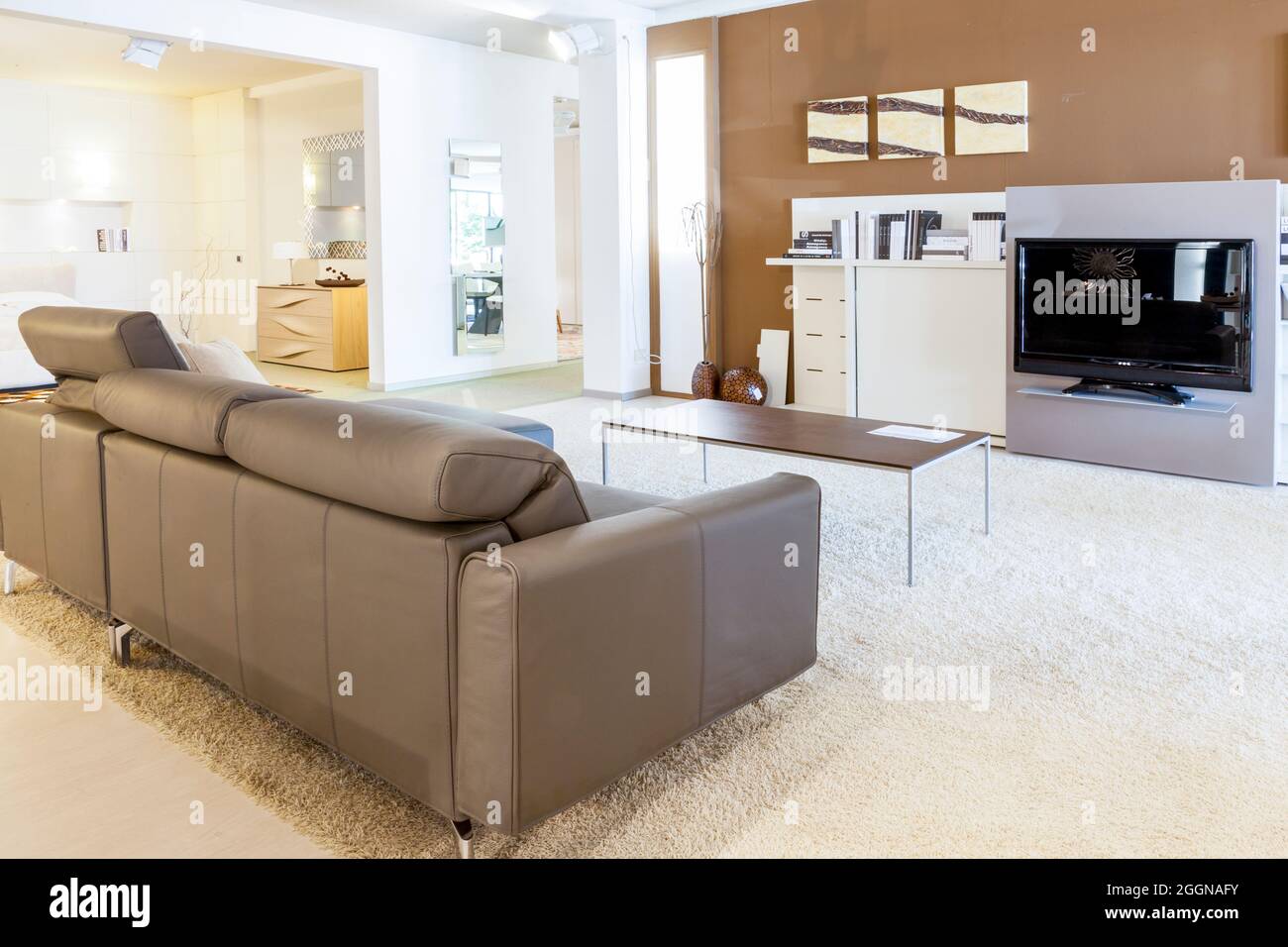 bel appartement moderne dans un nouvel intérieur de luxe Banque D'Images