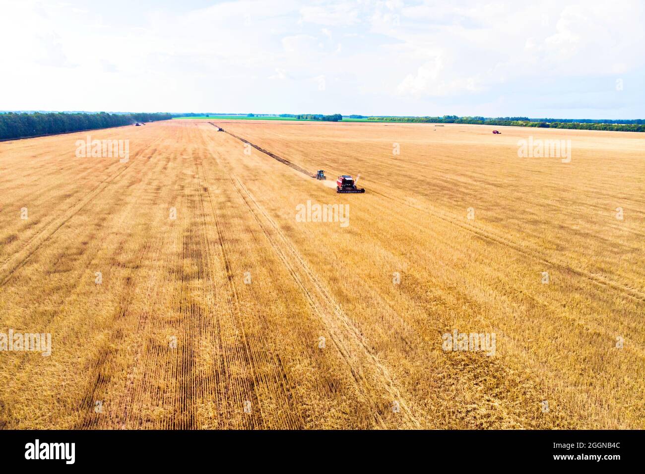 Vue aérienne de drone harvest field avec le tracteur tond l'herbe sèche. Champ jaune d'automne avec une botte après la récolte vue d'en haut. La récolte dans les champs. Banque D'Images