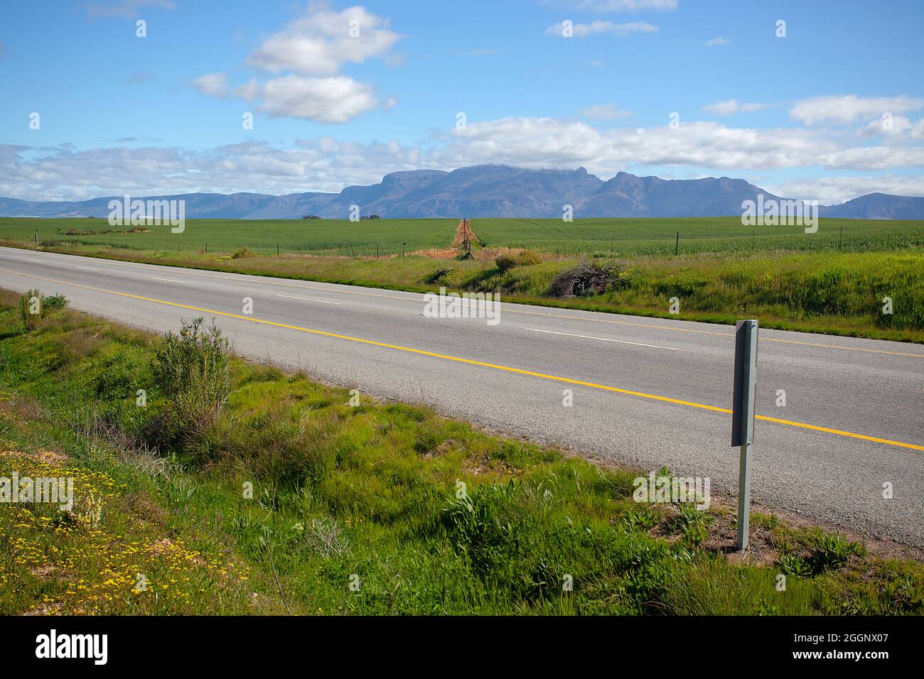 N7 et les agriculteurs, les champs verts, les montagnes, le Cap occidental, l'Afrique du Sud Banque D'Images