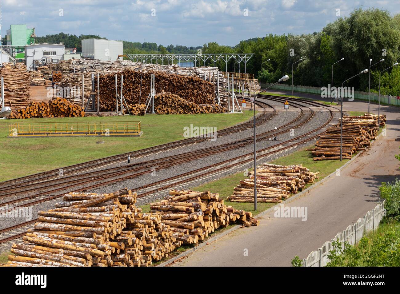 Entrepôt de matières premières en bois en plein air dans une usine de traitement du bois avec voies de chemin de fer d'accès Banque D'Images